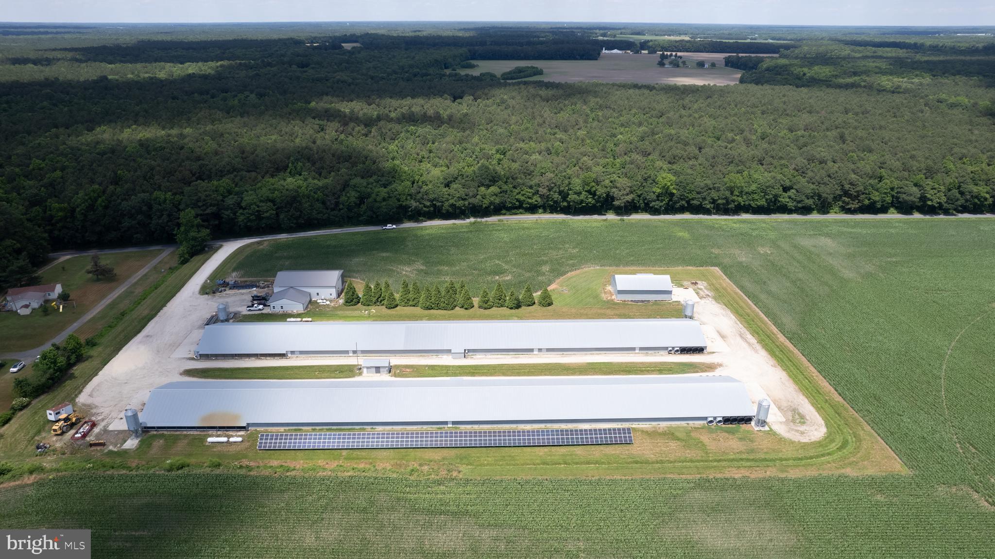 5405 Wesley Road Federalsburg, MD 21632 - Photo 6 of 18