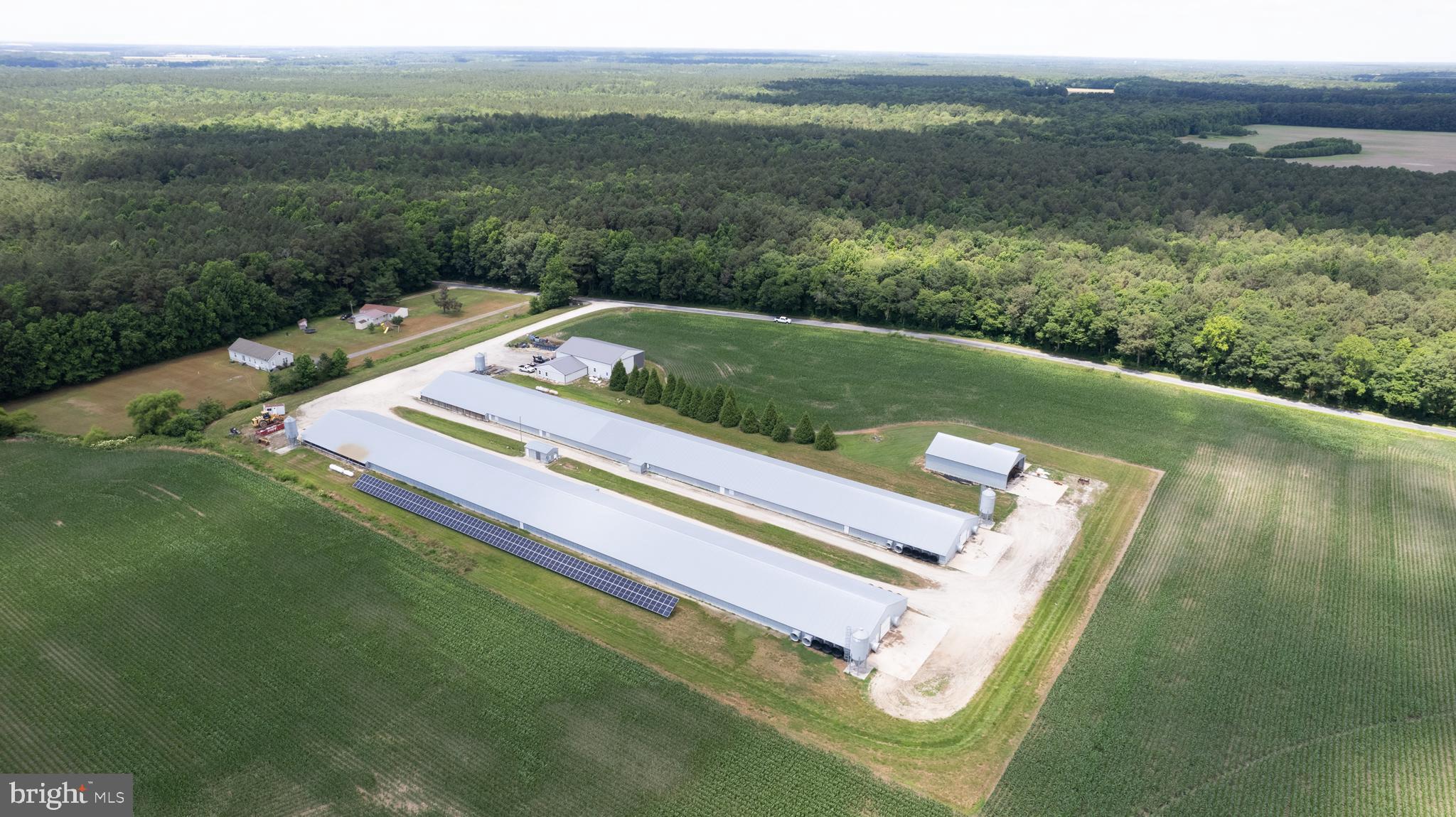 5405 Wesley Road Federalsburg, MD 21632 - Photo 7 of 18