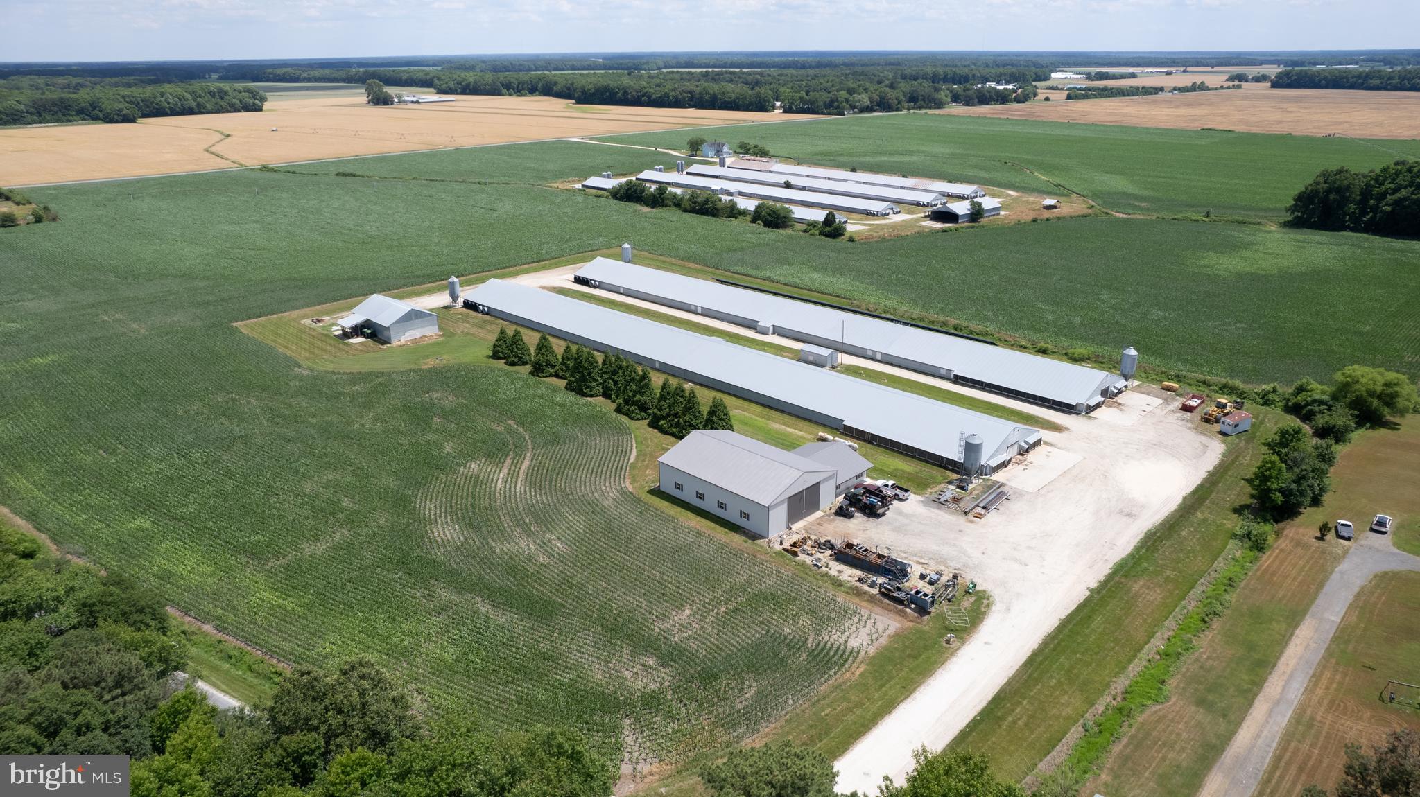 5405 Wesley Road Federalsburg, MD 21632 - Photo 9 of 18