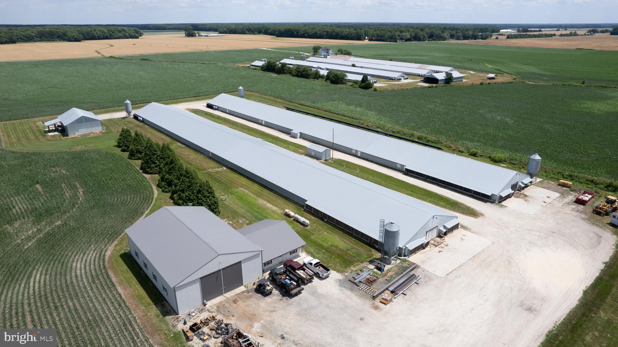 5405 Wesley Road Federalsburg, MD 21632 - Photo 10 of 18