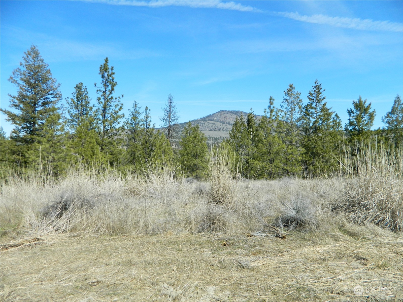 118 Aeneas Valley Road Tonasket, WA 98855 - Photo 11 of 20 Gallery Image 11