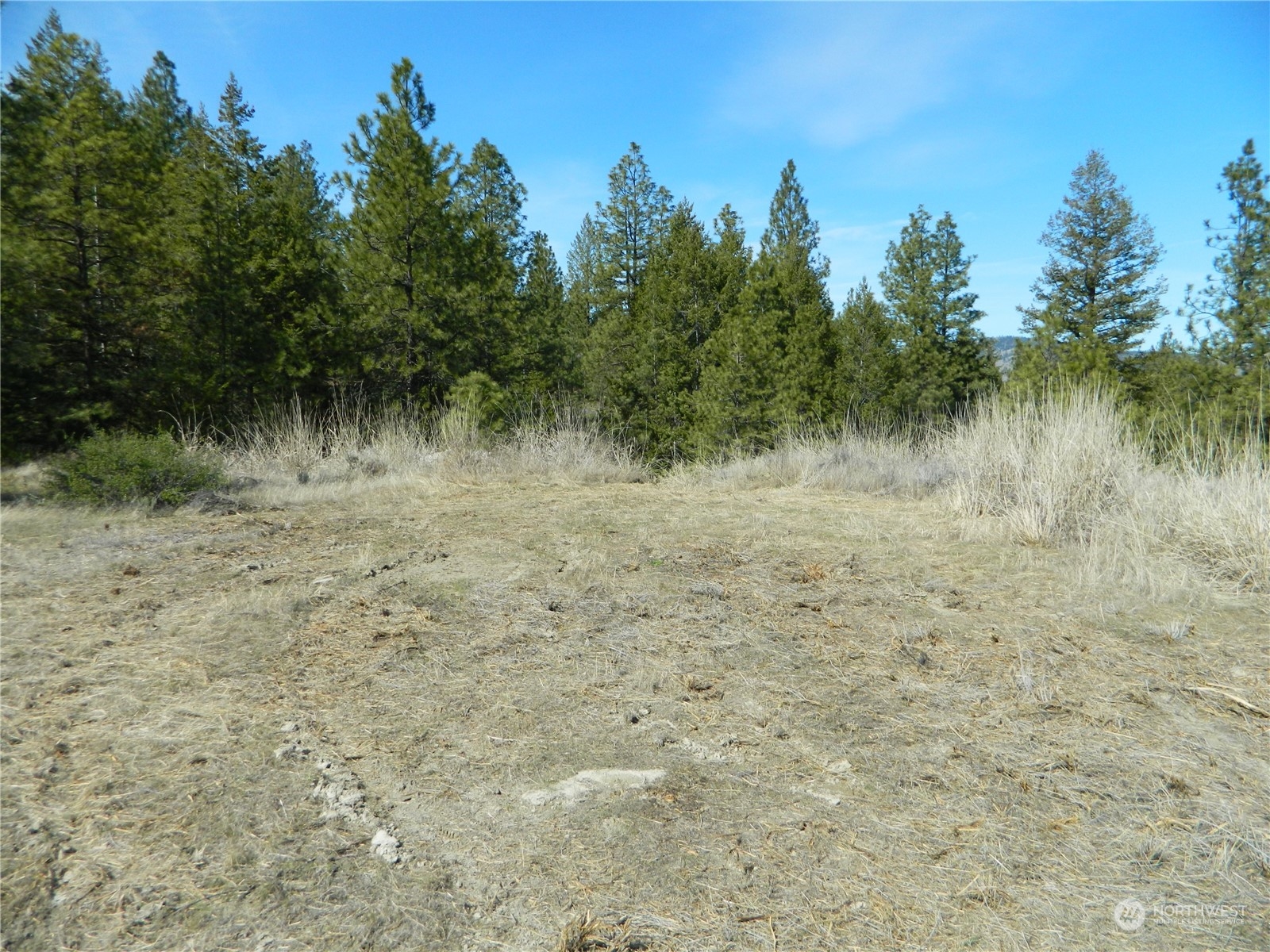118 Aeneas Valley Road Tonasket, WA 98855 - Photo 12 of 20 Gallery Image 12