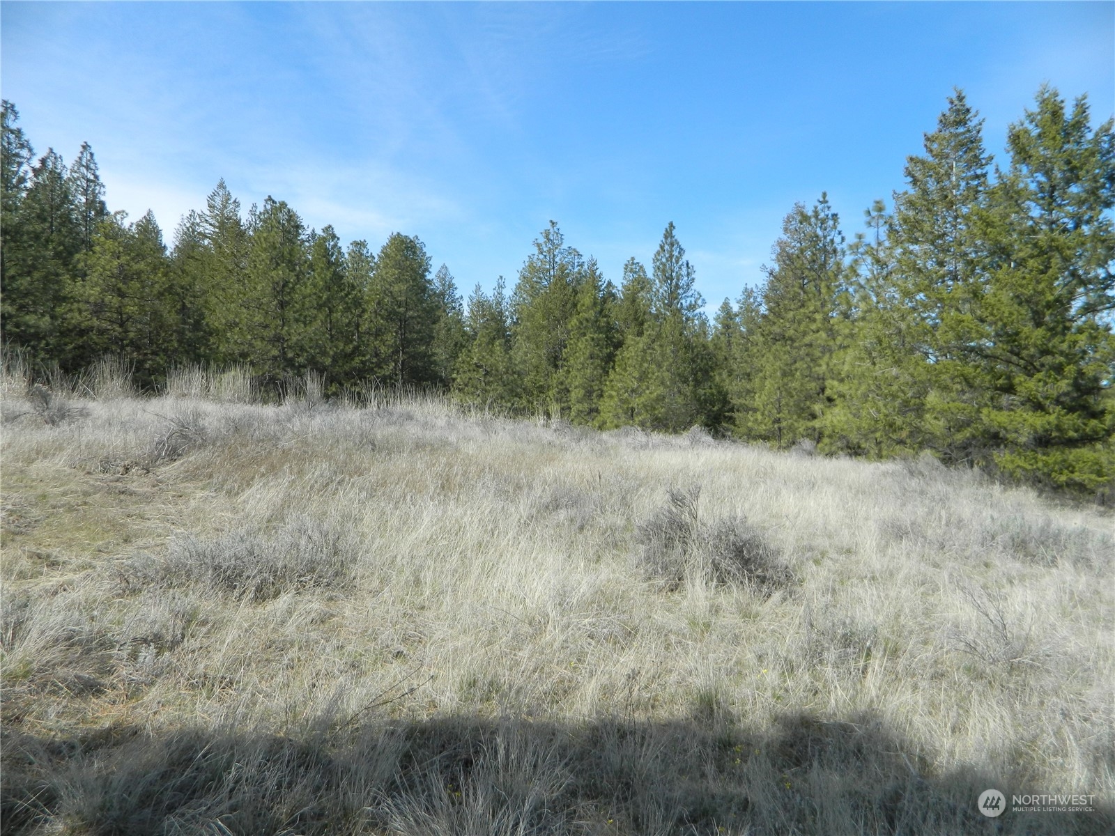 118 Aeneas Valley Road Tonasket, WA 98855 - Photo 15 of 20 Gallery Image 15