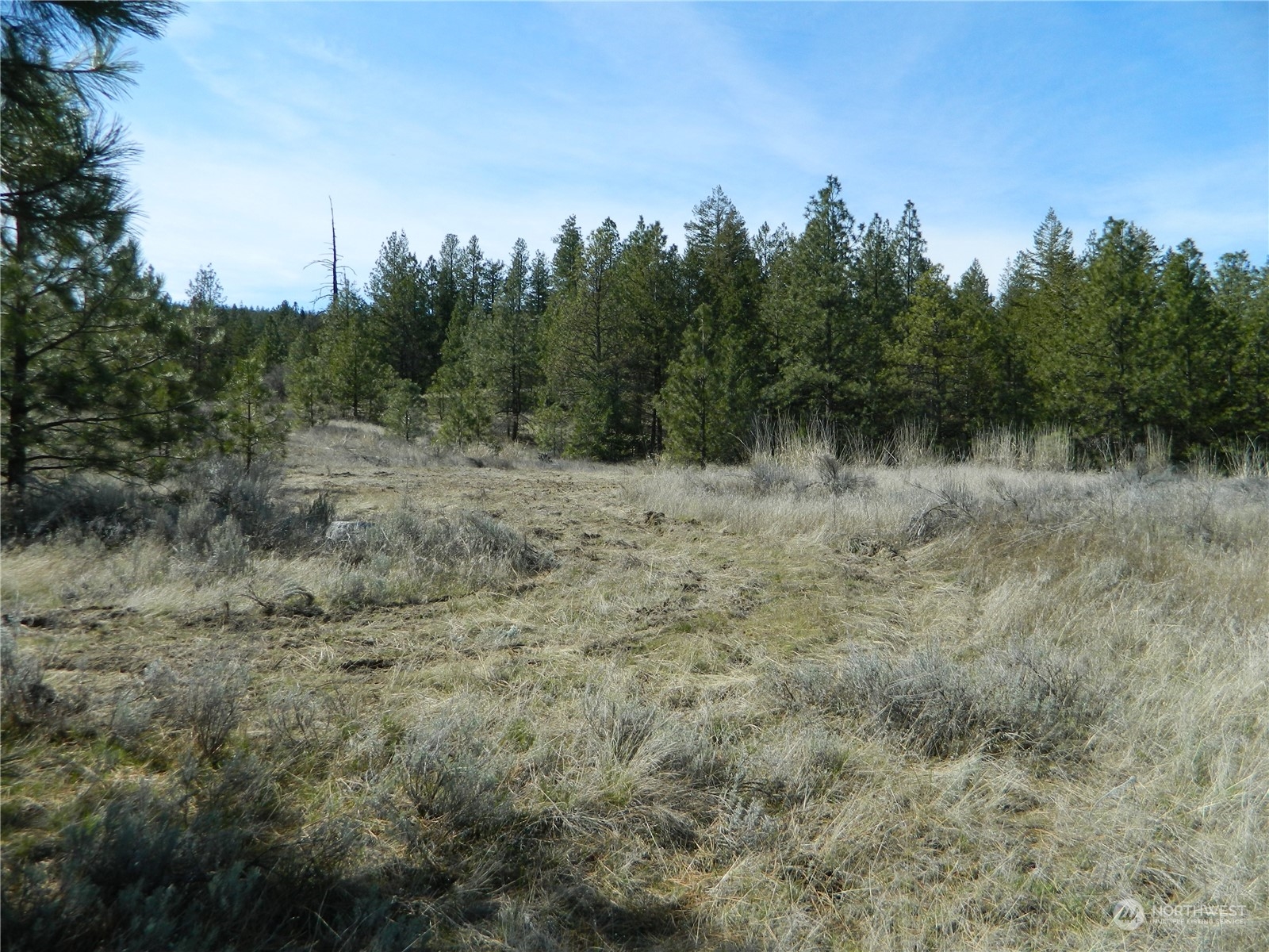 118 Aeneas Valley Road Tonasket, WA 98855 - Photo 16 of 20 Gallery Image 16