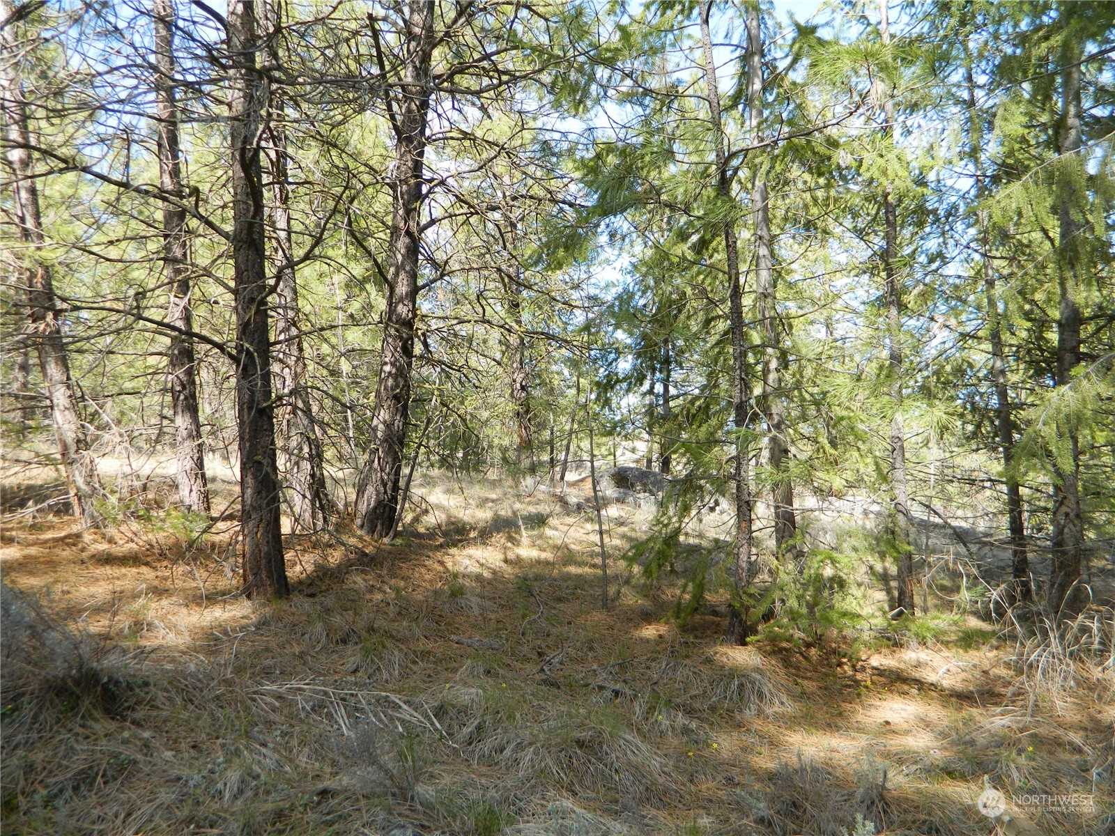 118 Aeneas Valley Road Tonasket, WA 98855 - Photo 18 of 20 Gallery Image 18