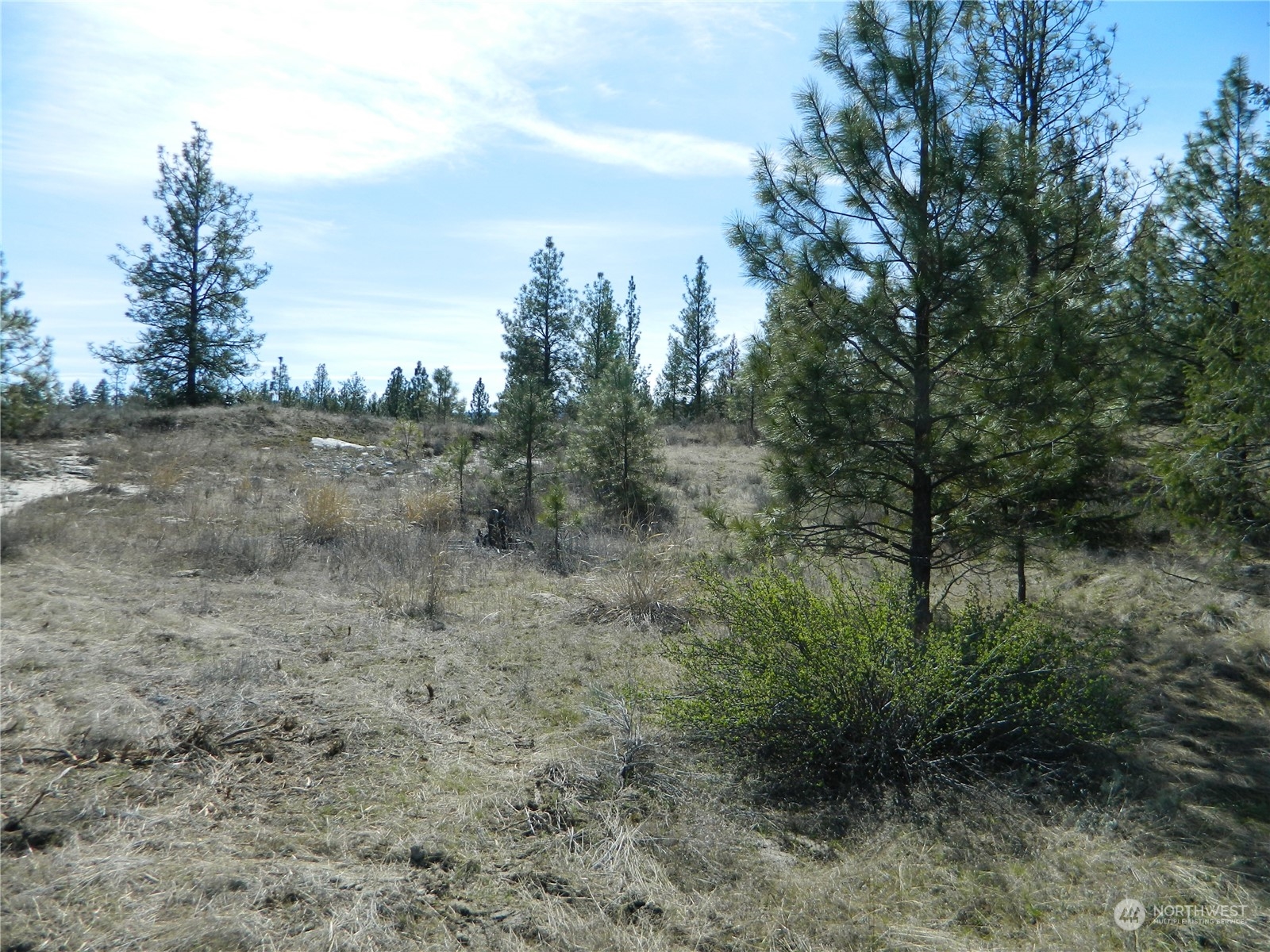 118 Aeneas Valley Road Tonasket, WA 98855 - Photo 10 of 20 Gallery Image 10
