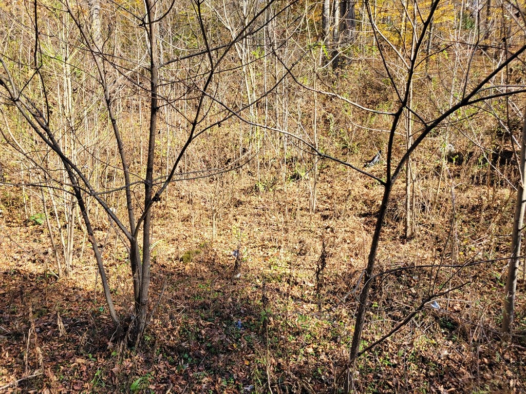 9097 Old Mill Road Glade Spring, VA 24340 - Photo 10 of 22 Gallery Image 10