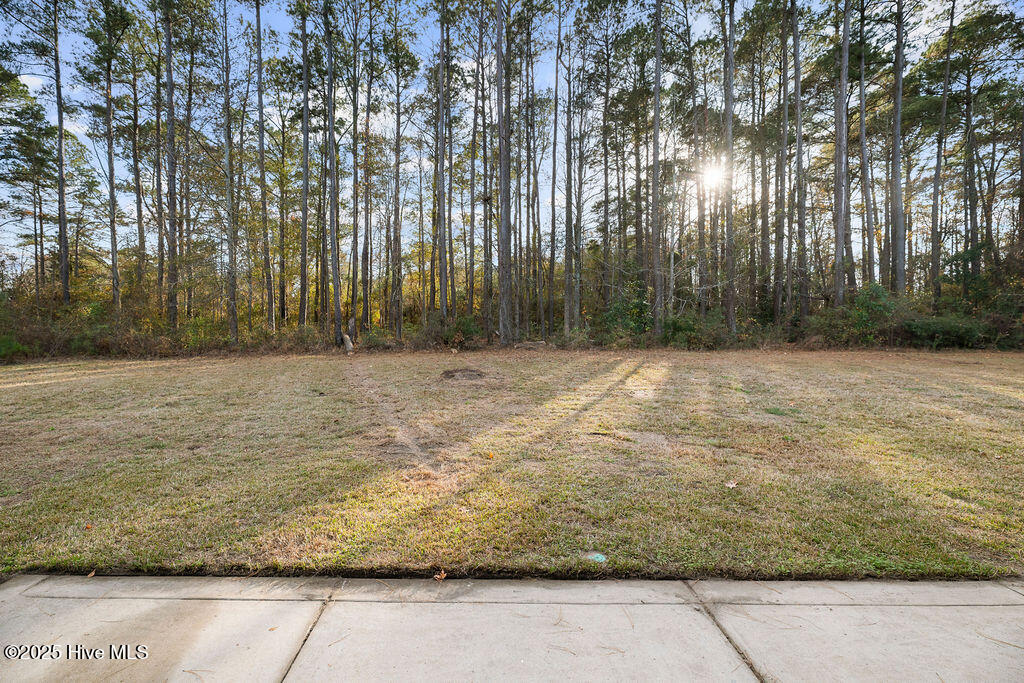 9114 Clinton Road Stedman, NC 28391 - Photo 27 of 34 clinton_D2L3163
