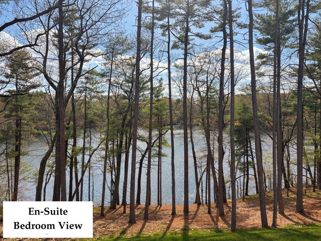 31 Arcadia Road Natick, MA 01760 - Photo 13 of 20 a view of outdoor space with lots of trees