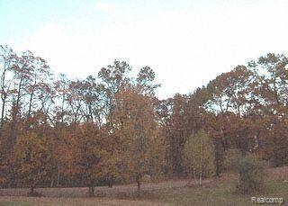 11221 Clyde Road Fenton, MI 48430 - Photo 1 of 1 Vacant Land