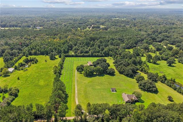 80369 Robinson Road Folsom, LA 70437 - Photo 27 of 31 Gallery Image 27