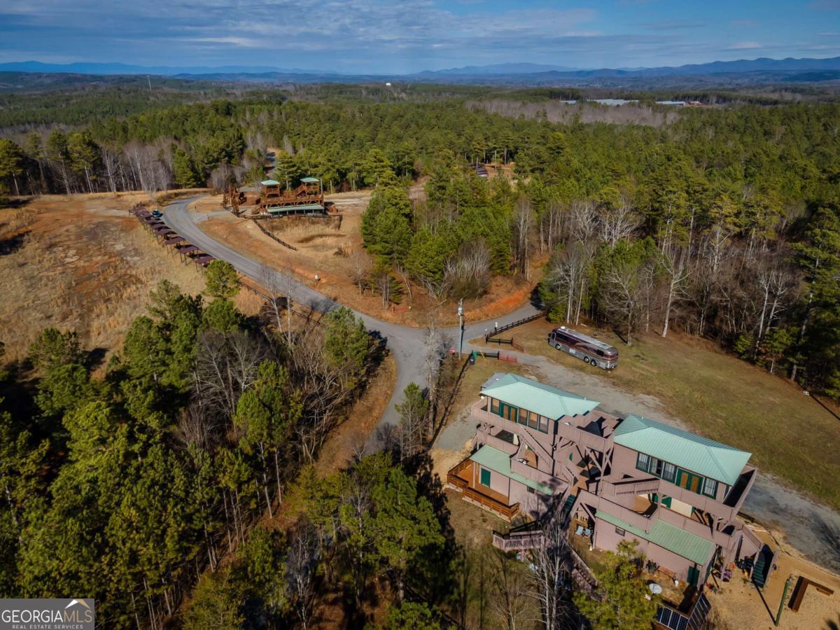 825 Young Loop Fairmount, GA 30139 - Photo 21 of 32 an aerial view of residential house with outdoor space