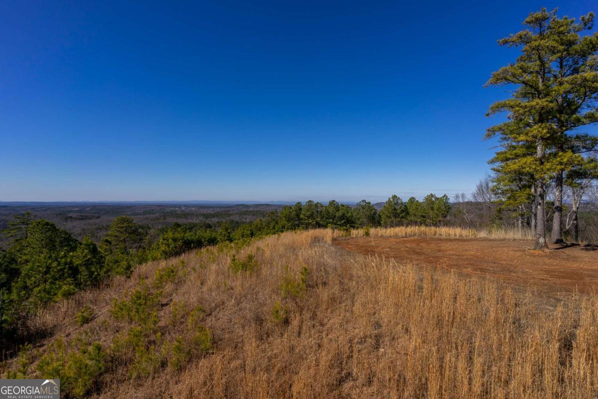 825 Young Loop Fairmount, GA 30139 - Photo 23 of 32 a view of an ocean and beach