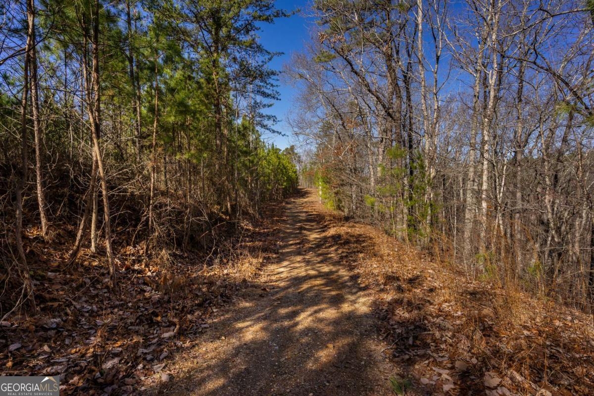825 Young Loop Fairmount, GA 30139 - Photo 28 of 32 a view of yard