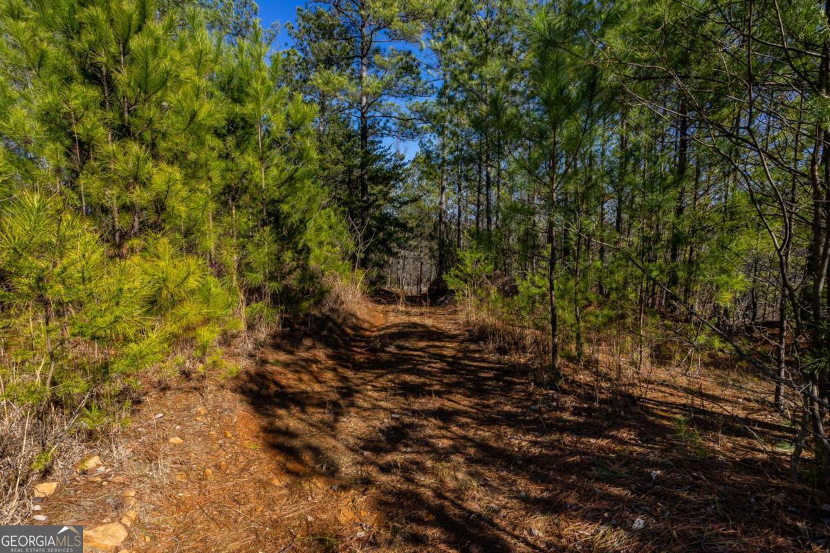 825 Young Loop Fairmount, GA 30139 - Photo 32 of 32 a view of a yard