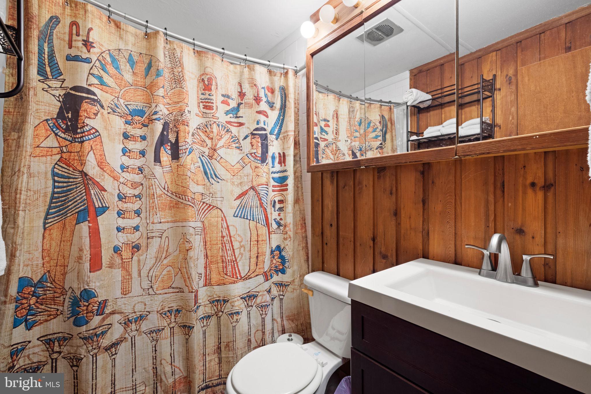 217 Pheasant Drive Basye, VA 22842 - Photo 14 of 30 Main level bathroom