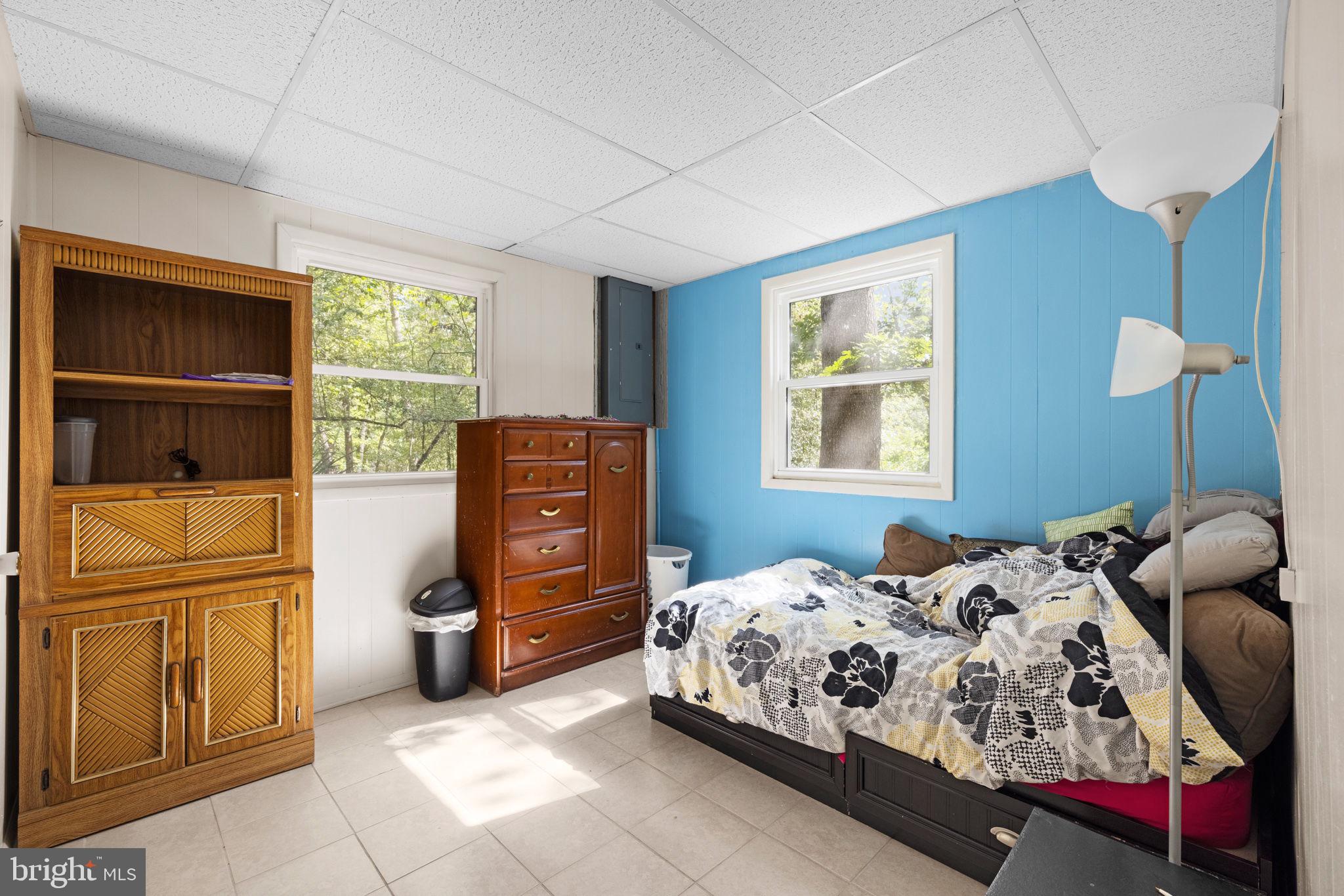 217 Pheasant Drive Basye, VA 22842 - Photo 24 of 30 Basement Bedroom