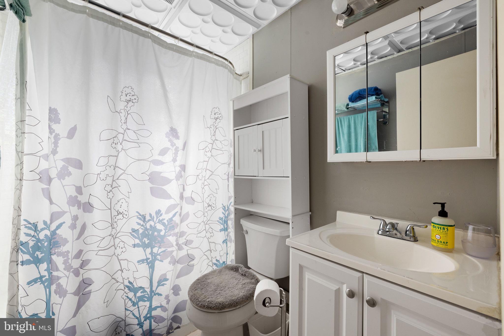 217 Pheasant Drive Basye, VA 22842 - Photo 25 of 30 Basement bathroom