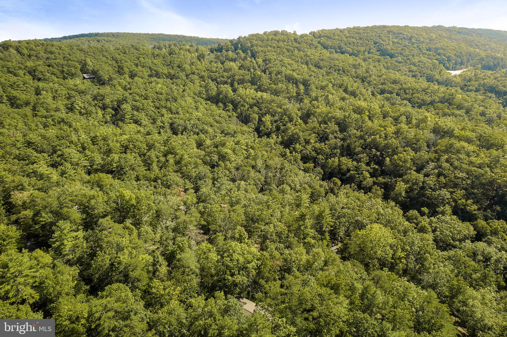 217 Pheasant Drive Basye, VA 22842 - Photo 26 of 30