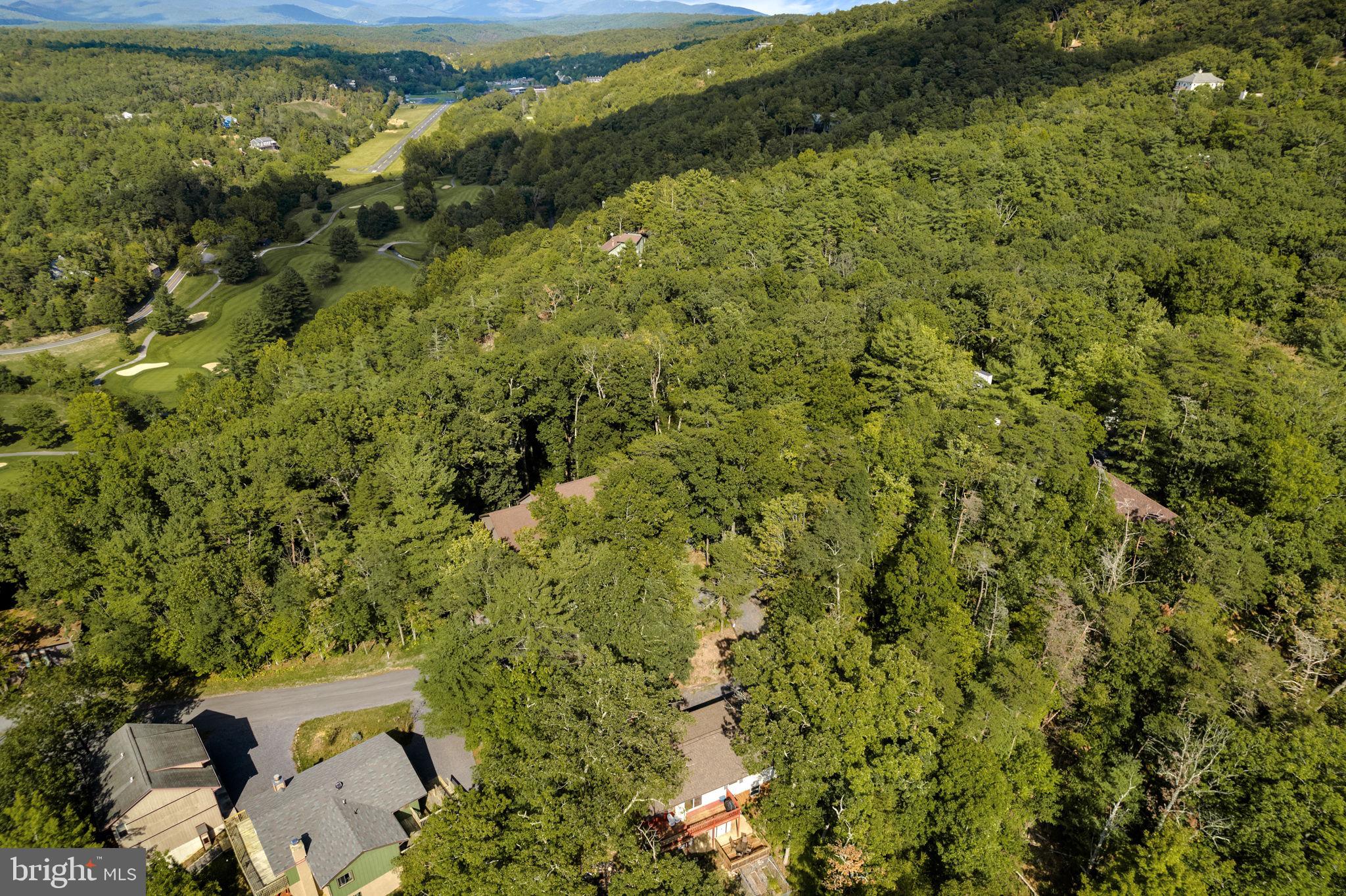 217 Pheasant Drive Basye, VA 22842 - Photo 27 of 30