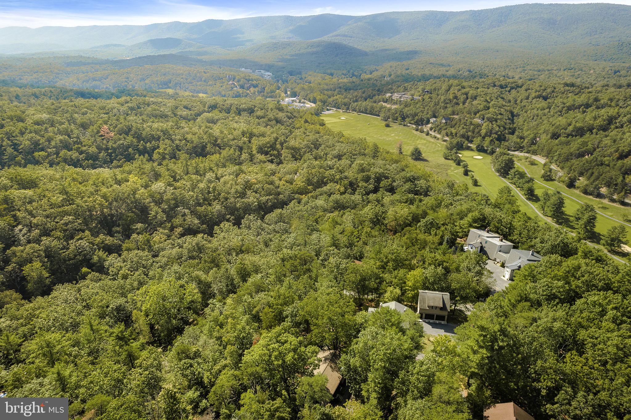 217 Pheasant Drive Basye, VA 22842 - Photo 28 of 30