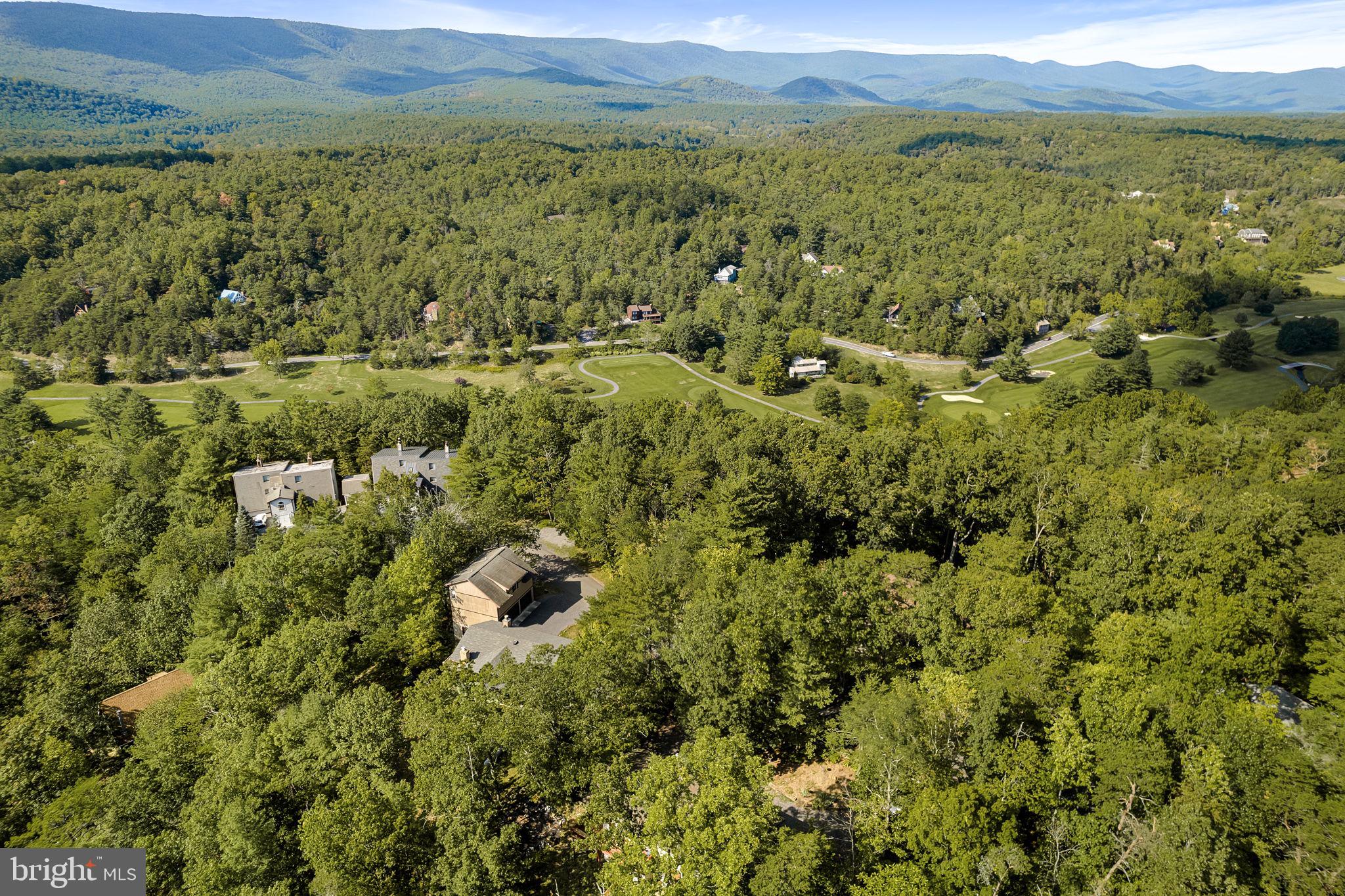 217 Pheasant Drive Basye, VA 22842 - Photo 29 of 30