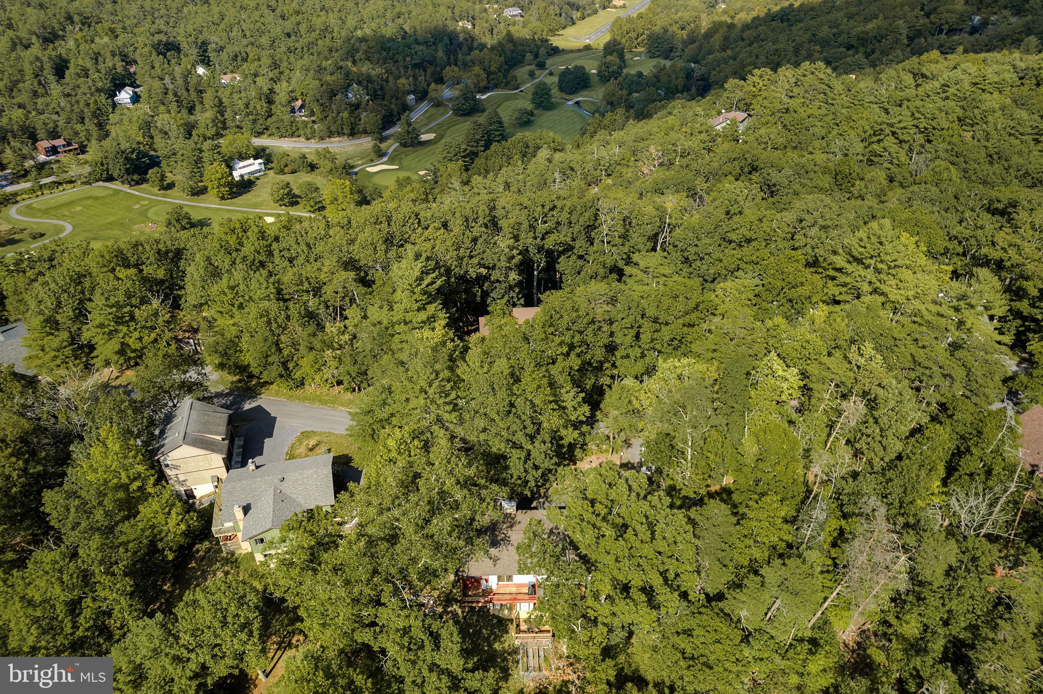 217 Pheasant Drive Basye, VA 22842 - Photo 30 of 30