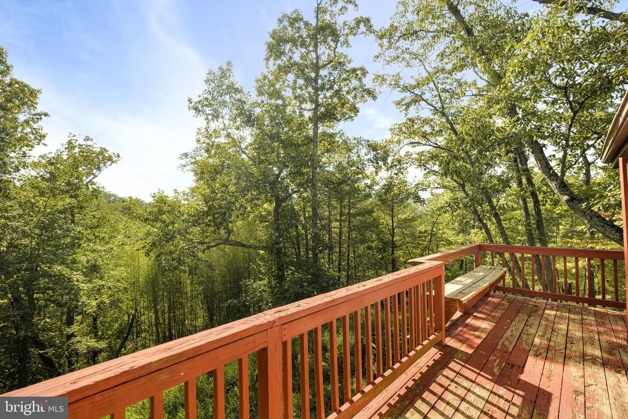 217 Pheasant Drive Basye, VA 22842 - Photo 6 of 30