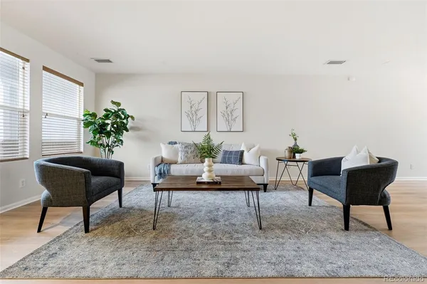 a living room with furniture and a rug