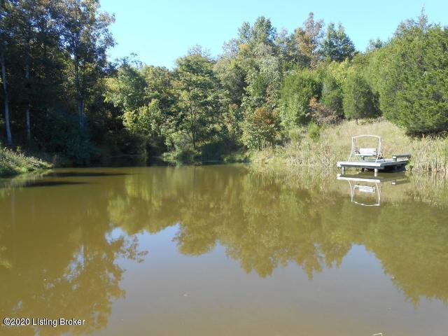 901 Goose Creek Road Bagdad, KY 40003 - Photo 23 of 28 Pond