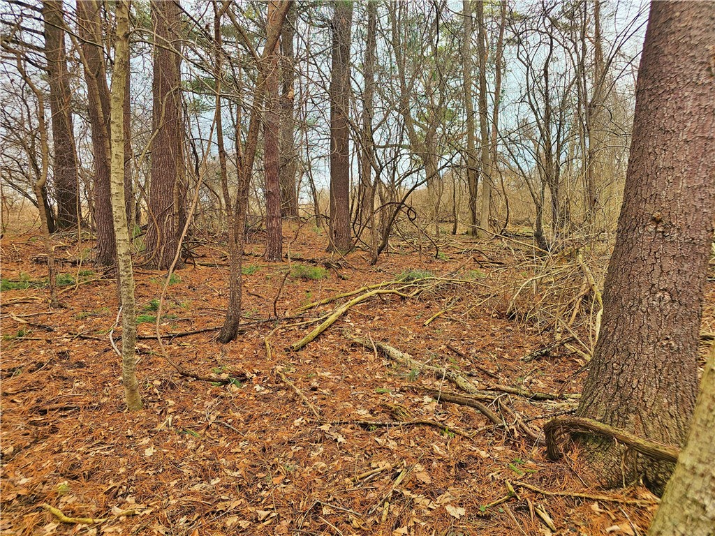 2130 Guyanoga Road Jerusalem, NY 14527 - Photo 19 of 26