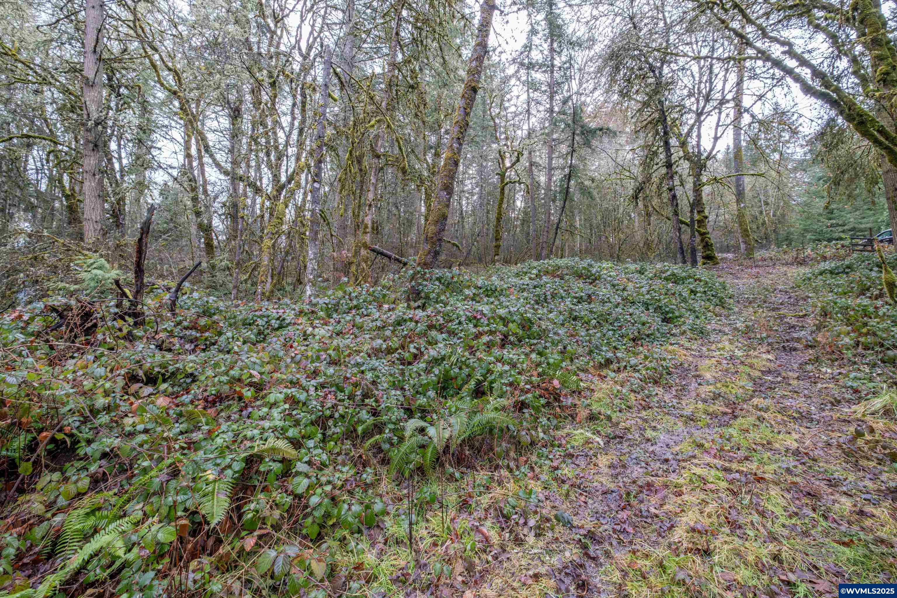 Pineway (lot 2200) Road Lebanon, OR 97355 - Photo 14 of 17 Gallery Image 14