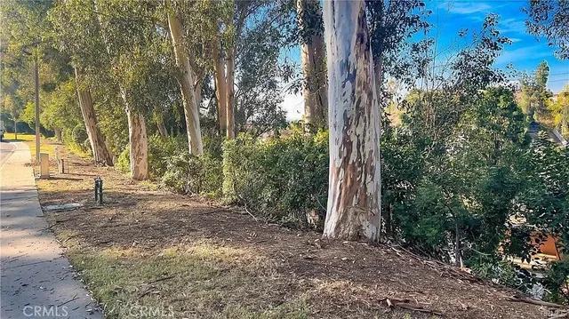 a view of backyard with green space