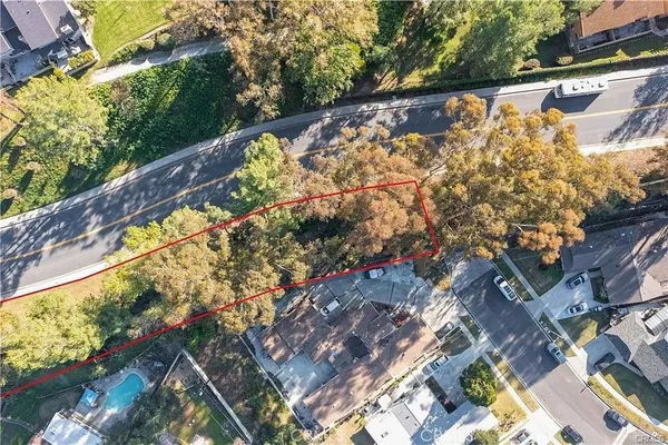 a view of a street with large trees