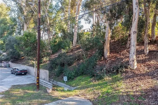 a view of a yard with plants and trees