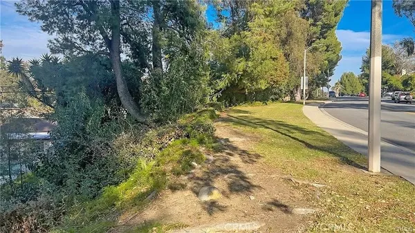 a view of a yard with plants and trees