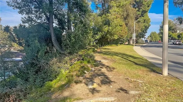 a view of a yard with plants and trees