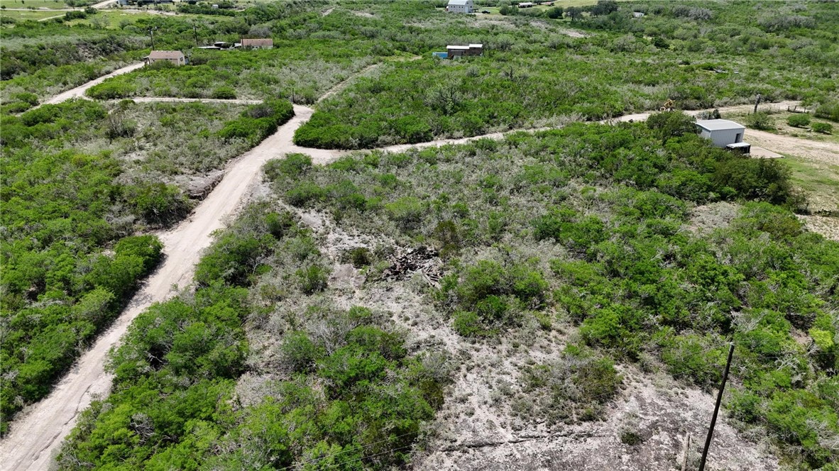 0 Lake Country Drive Mathis, TX 78368 - Photo 8 of 15 a view of a forest with a street
