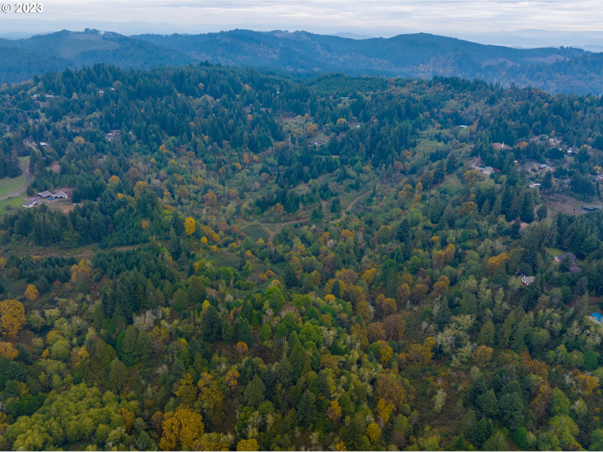 Gary Sipe Road Coquille, OR 97423 - Photo 12 of 19 a view of a lush green forest with a house