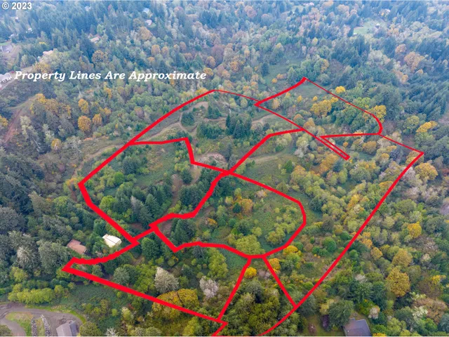 a view of a lush green forest with trees and some houses