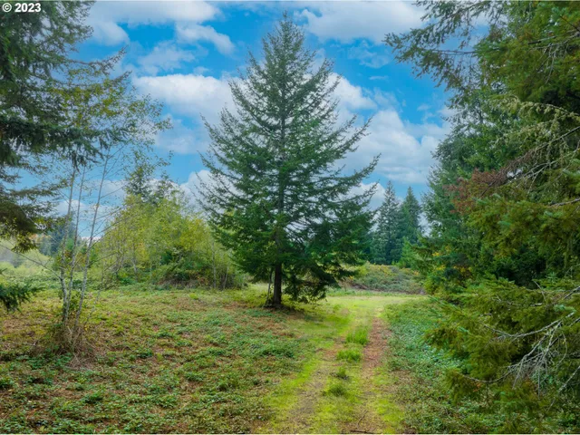 a big yard with lots of green space and trees