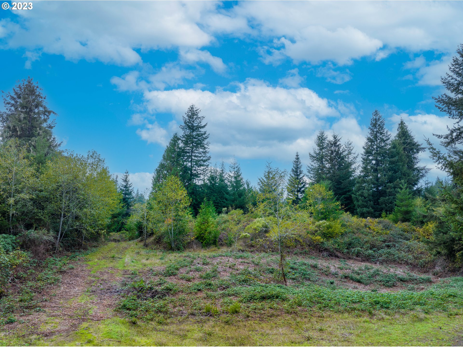 Gary Sipe Road Coquille, OR 97423 - Photo 4 of 19 a view of a big yard with lots of green space