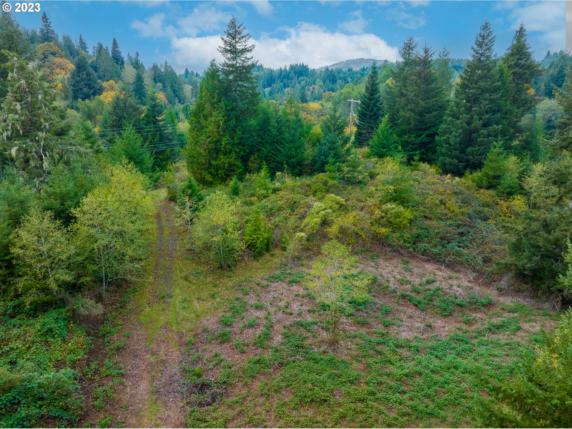 Gary Sipe Road Coquille, OR 97423 - Photo 5 of 19 a view of a lush green forest with lots of trees