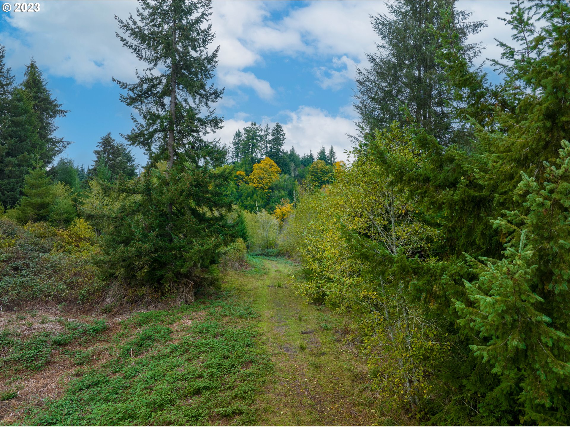 Gary Sipe Road Coquille, OR 97423 - Photo 7 of 19 a view of a forest