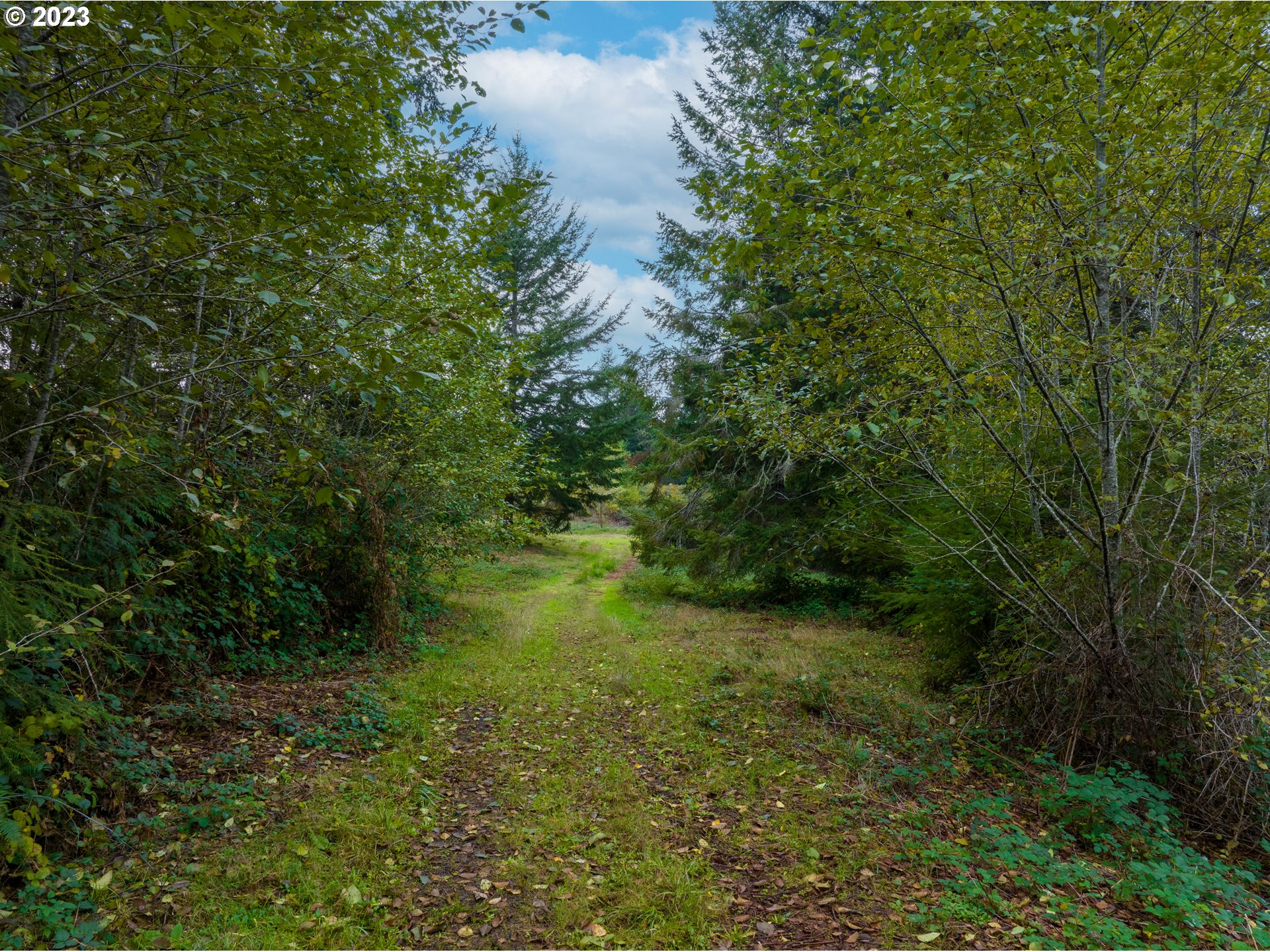 Gary Sipe Road Coquille, OR 97423 - Photo 8 of 19 a view of a lush green space