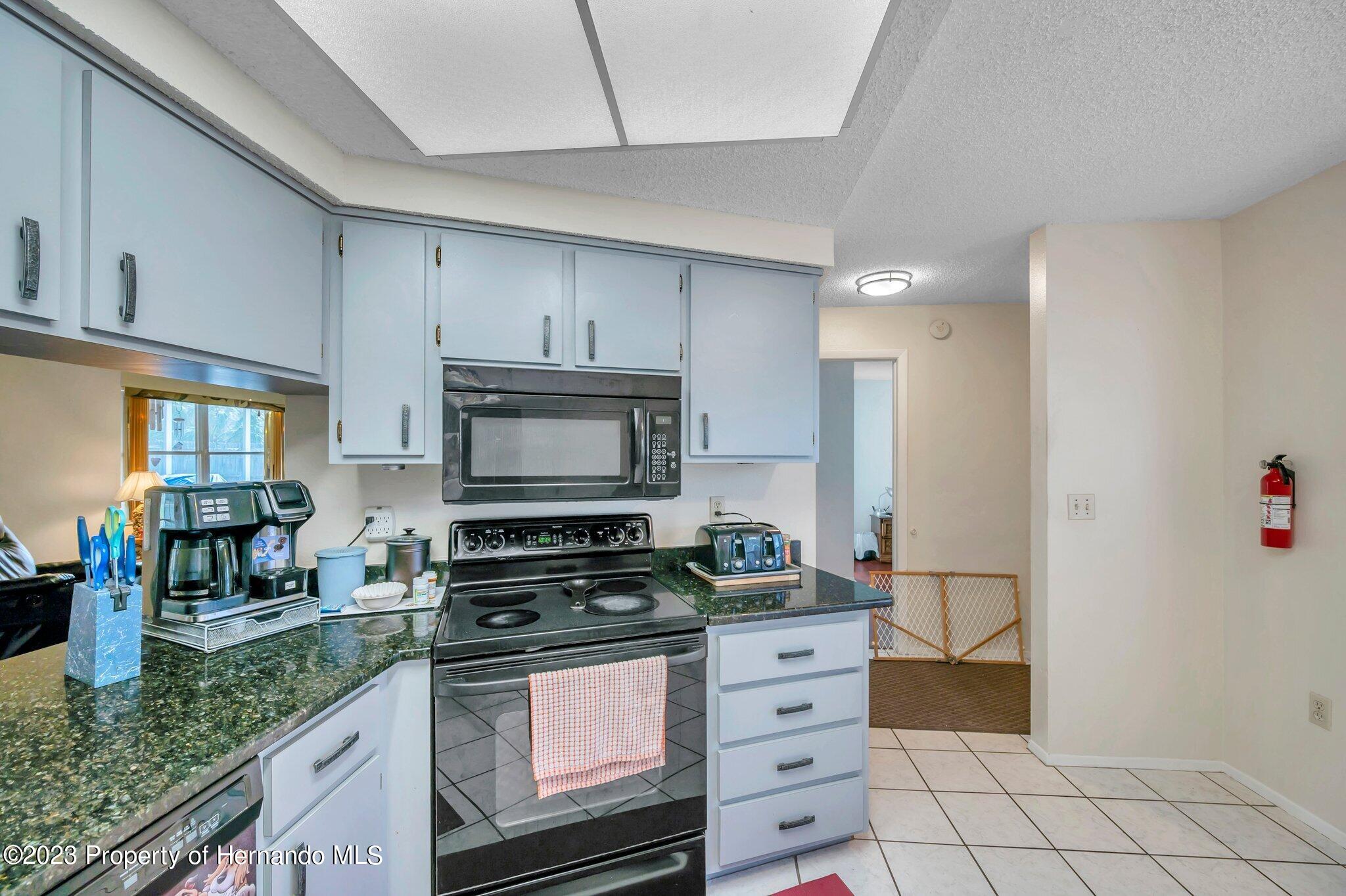 2204 Gold Spring Hill Spring Hill, FL 34609 - Photo 13 of 31 31-web-or-mls-TTP_8280