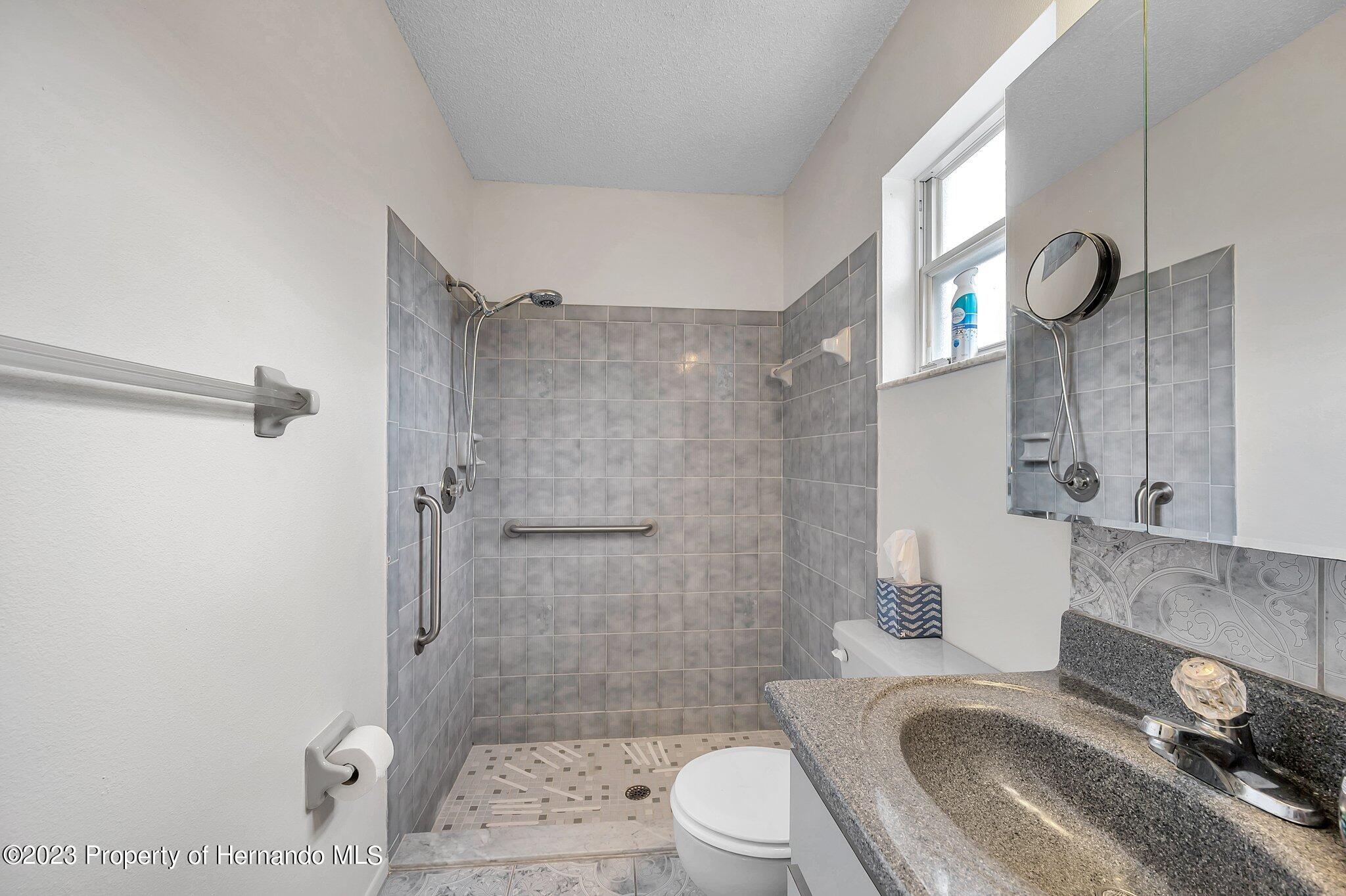 2204 Gold Spring Hill Spring Hill, FL 34609 - Photo 24 of 31 48-web-or-mls-TTP_8298