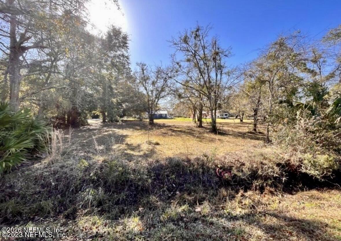 0 West Lawrence Road Fernandina Beach, FL 32034 - Photo 4 of 4 a view of road with large trees