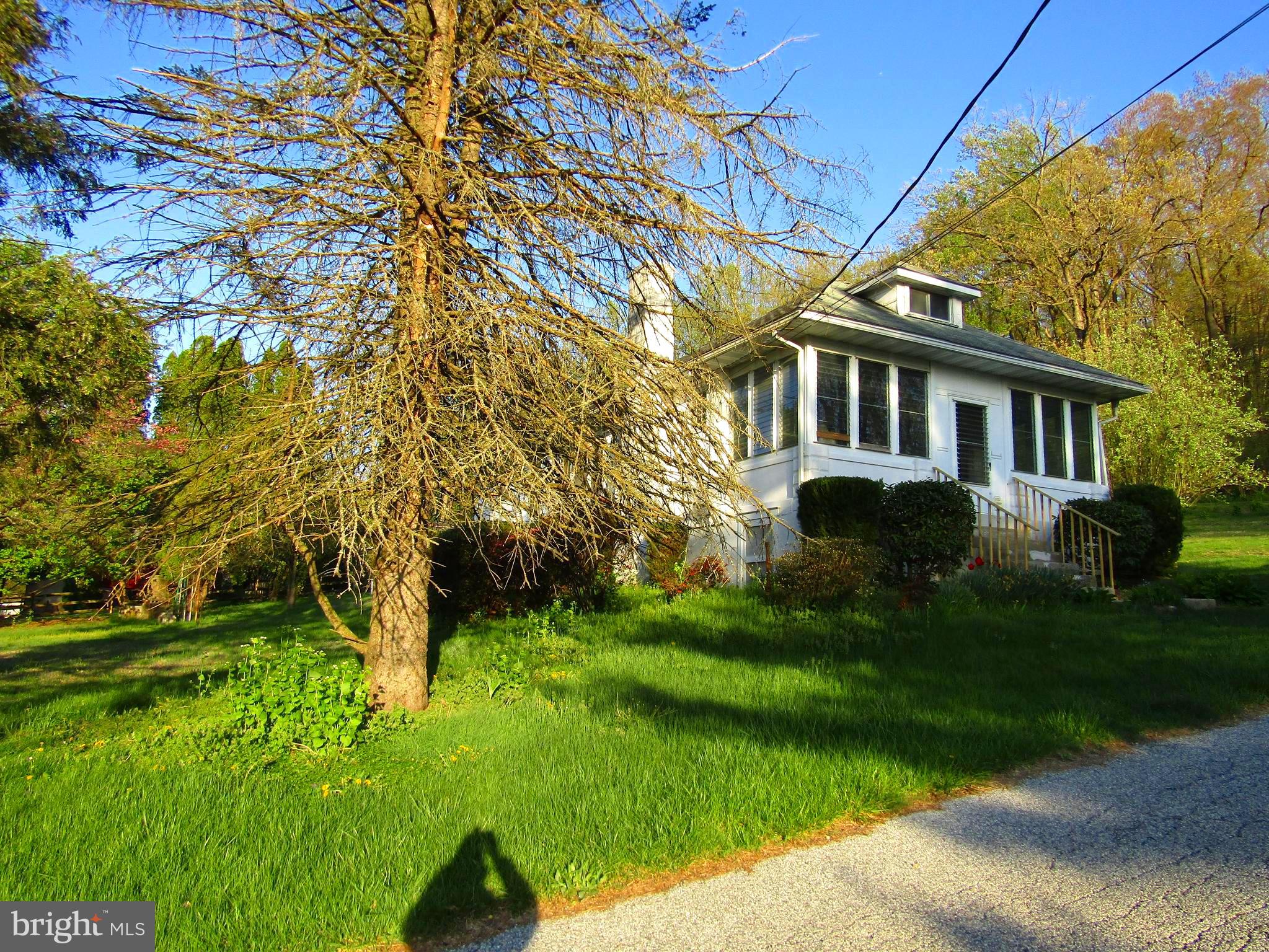 Dog lovers welcome!  Great yard all around house