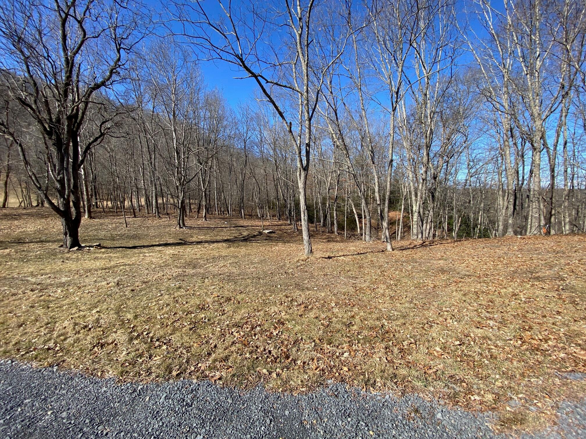 Lot 2 Spice Run Road Hillsboro, WV 24946 - Photo 49 of 68 Gallery Image 49